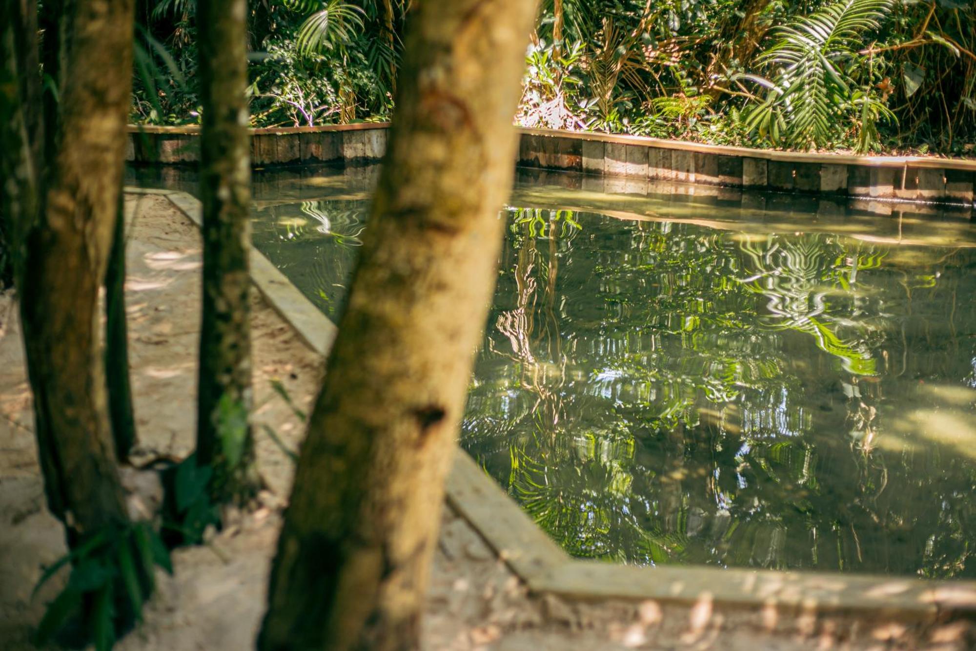 Pousada E Restaurante Amazonia アウテル・ド・ション エクステリア 写真